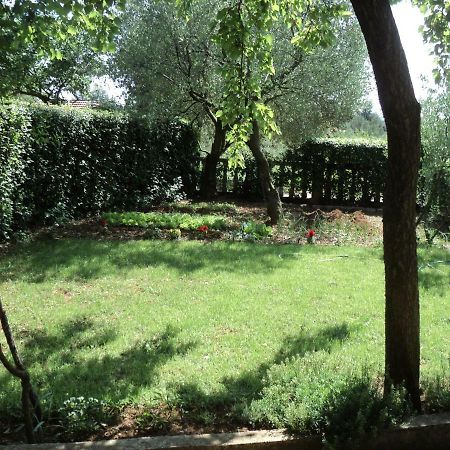Apartment Martina Biograd Na Moru Exterior photo