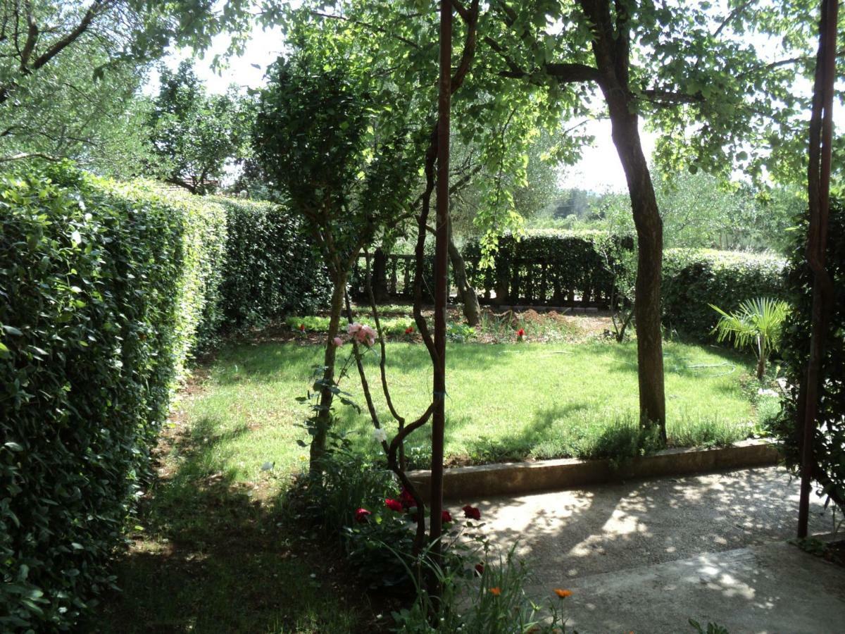 Apartment Martina Biograd Na Moru Exterior photo