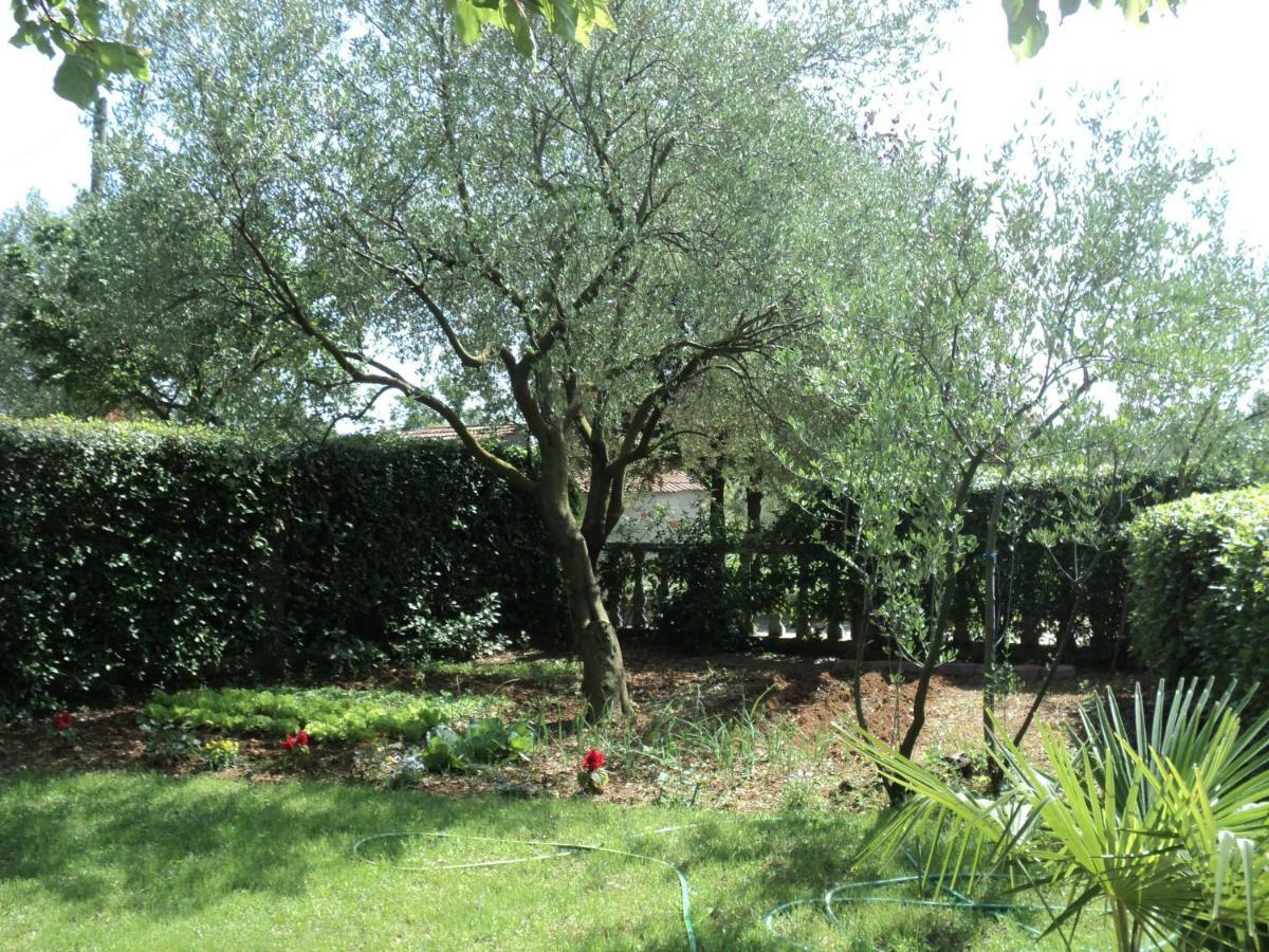 Apartment Martina Biograd Na Moru Exterior photo